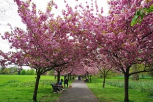 Dating nach dem Winter: Zeit für neue Begegnungen im Frühling