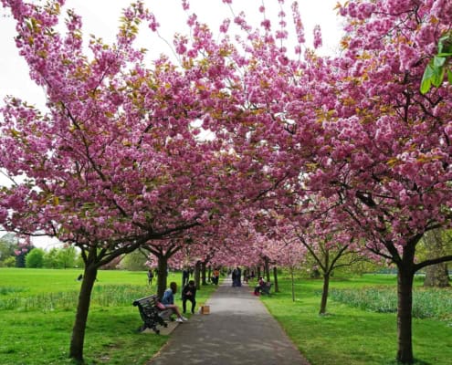 Dating nach dem Winter: Zeit für neue Begegnungen im Frühling