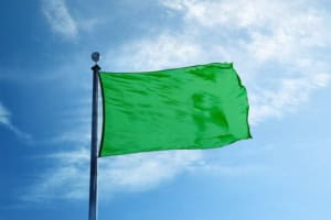 Green Flags beim Dating: Woran Du kompatible Menschen erkennst