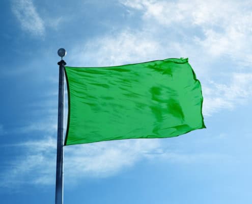Green Flags beim Dating: Woran Du kompatible Menschen erkennst